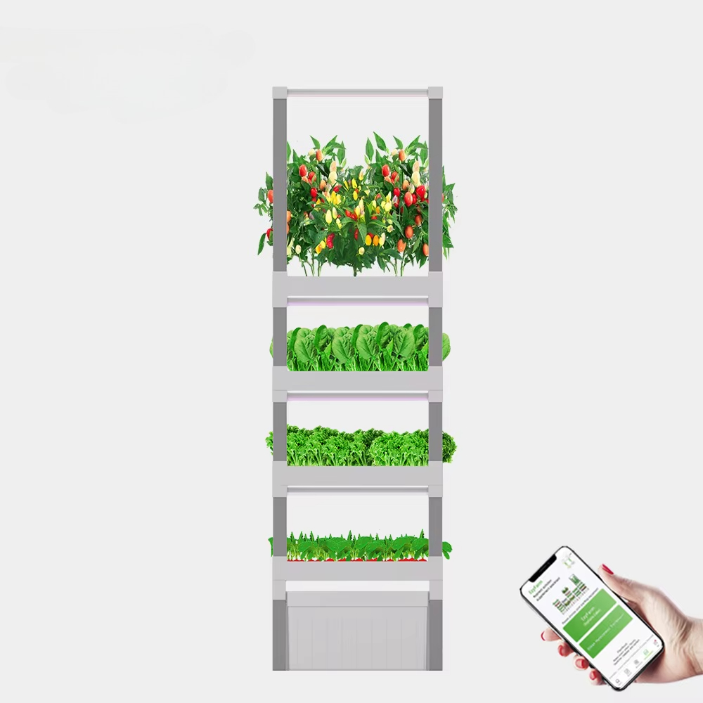 nt China Hydrokultur Grow Box  - Home Automation Systems Diy 리뷰 및 가격