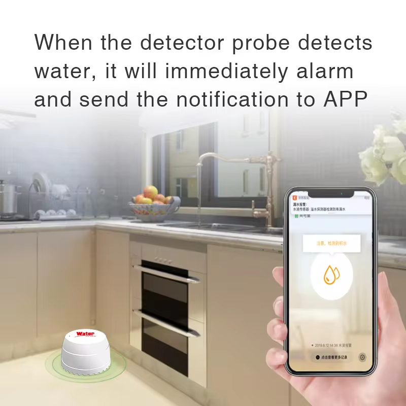 Tuya WiFi Water Leak Detector  - Home Automation Technology 리뷰 및 가격