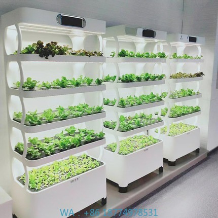 Iydroponic Automated Grow Syst - Home Automation Systems Diy 리뷰 및 가격