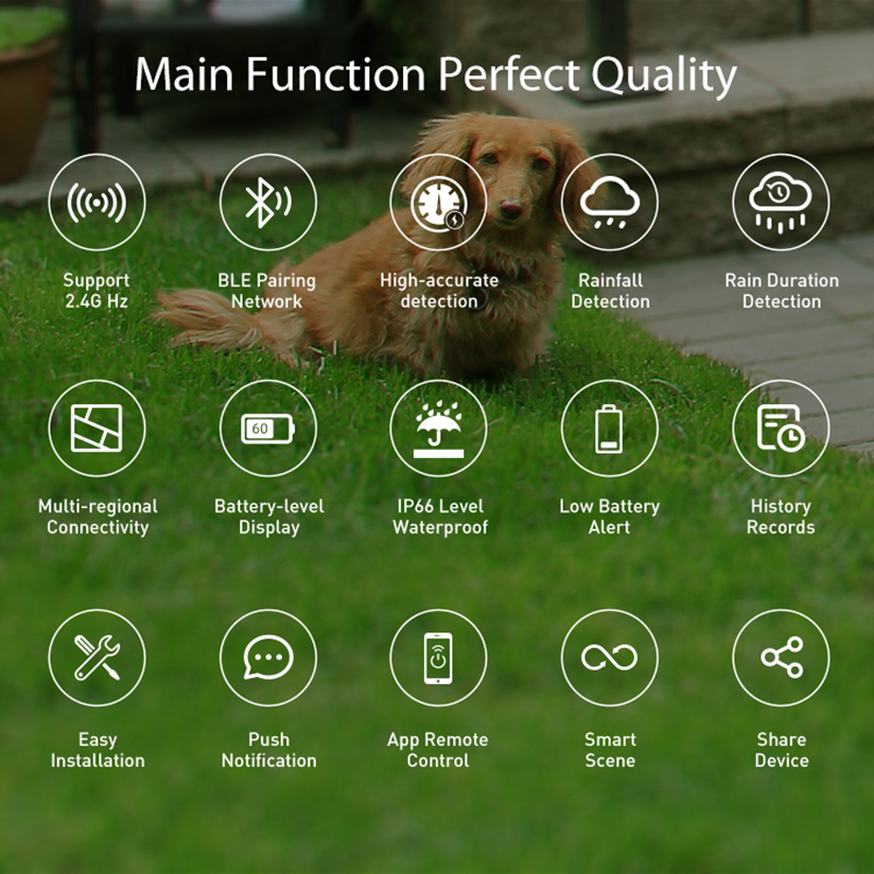 WiFi Rain Sensor Rainfall Dura - Home Automation Technology 리뷰 및 가격