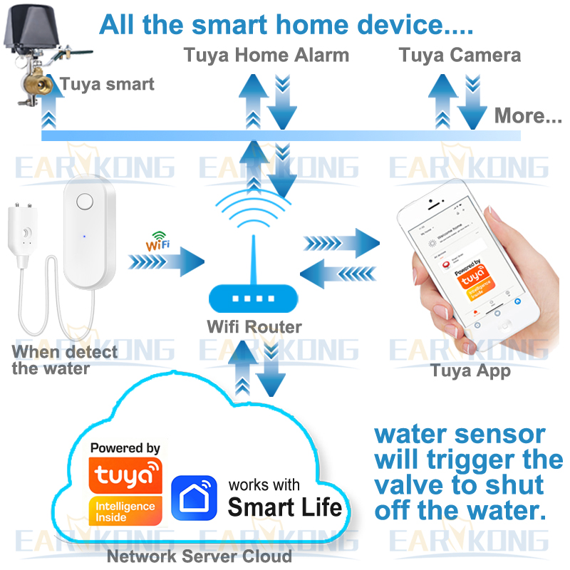 Tuya WiFi Smart Water Leak Sen - Home Automation Technology 리뷰 및 가격