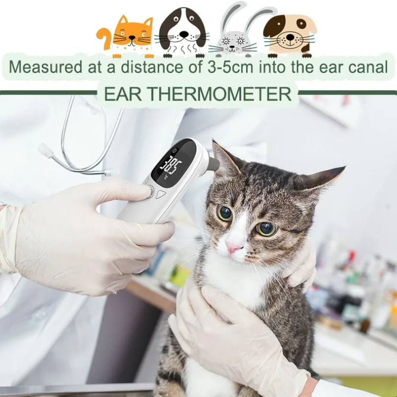 Infrared Pet Dog Cat Ear Therm - Home Automation Industry 리뷰 및 가격